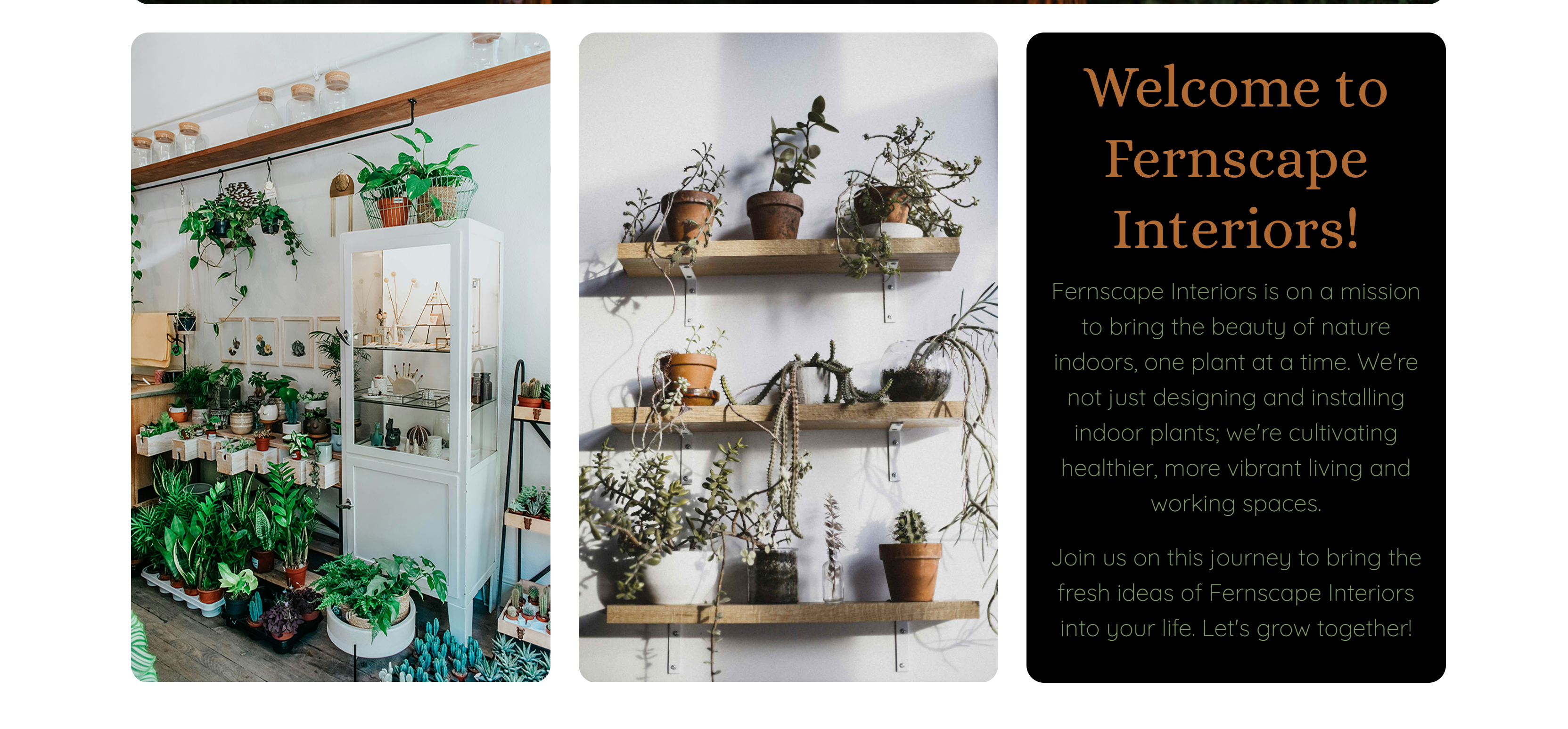 Fernscape Interiors demo website preview